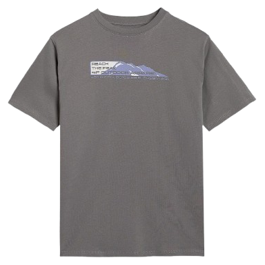 Дитяча футболка 4F Tshirt M2409 сірий MIDDLE GREY