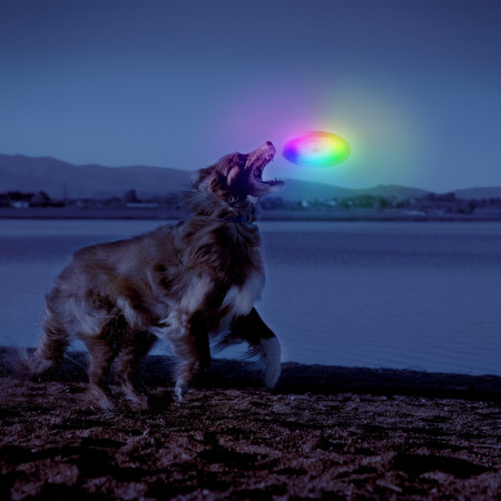 Іграшка для собак Nite Ize Flashflight® Dog Discuit™ LED Flying Disc