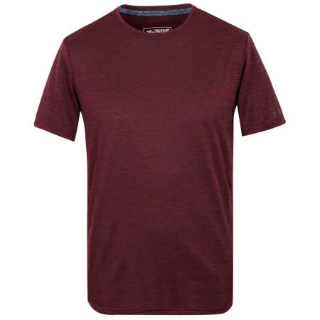 Чоловіча футболка Regatta Fingal Edition