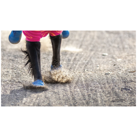 Взуття для собаки Ruffwear Hi & Light™ Trail Shoes