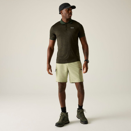 Чоловіча футболка Regatta Remex II