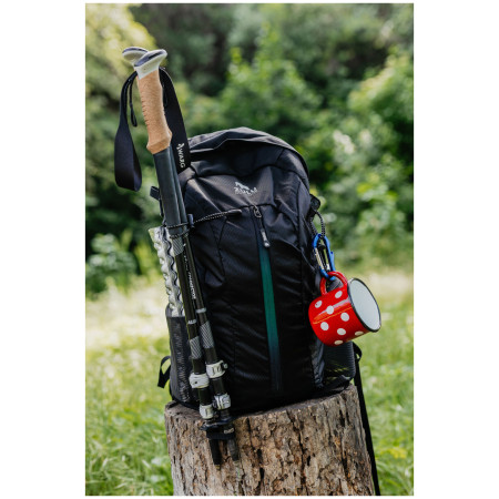 Рюкзак Zulu Flaker 20 L