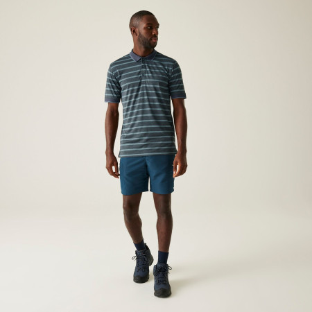 Чоловіча футболка Regatta Kildra