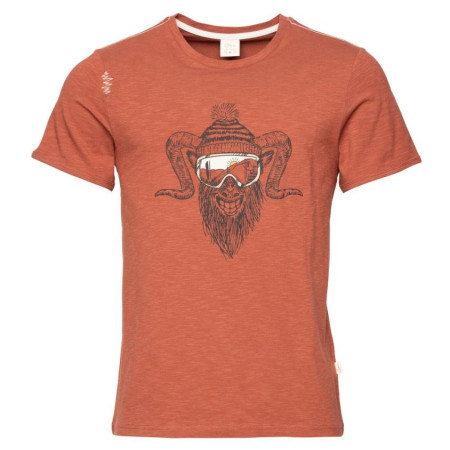 Чоловіча футболка Chillaz Rock Hero Winter коричневий brick