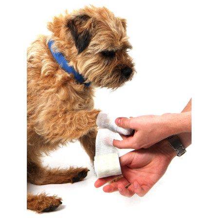 Аптечка для собак Mountain Paws Dog First Aid Kit