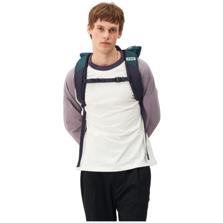 Рюкзак Aevor Day Pack FLX