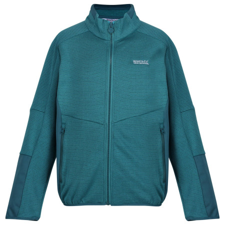 Дитяча толстовка Regatta Highton WtrFZ III