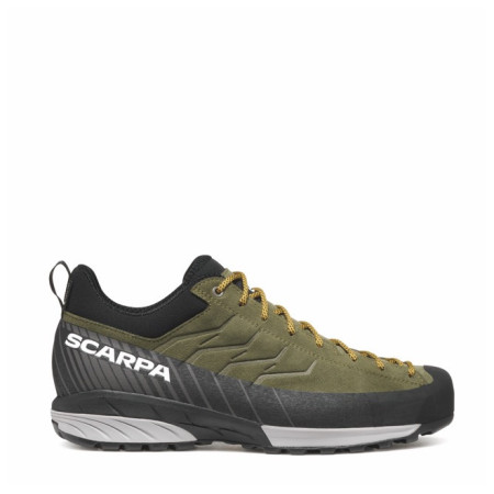 Чоловіче взуття Scarpa Mescalito GTX