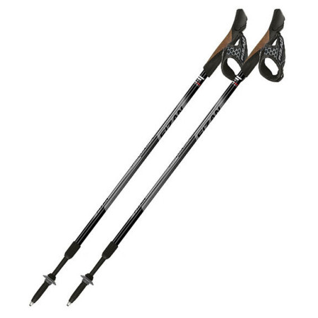 Палиці Fizan NW Speed