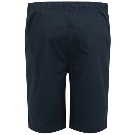 Чоловічі шорти Regatta Aldan Short
