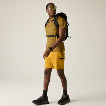 Чоловіча футболка Regatta Fingal Edition