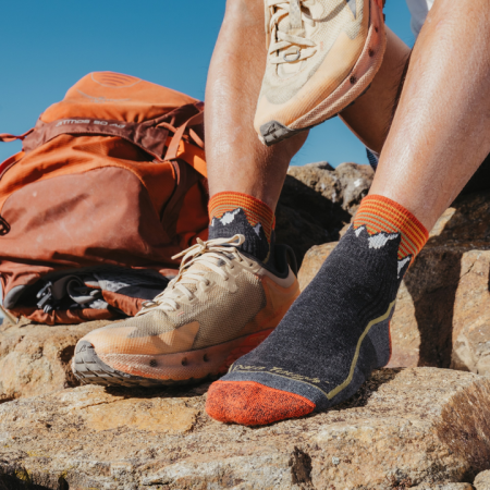 Чоловічі шкарпетки Darn Tough M Hiker Quarter Midweight With Cushion