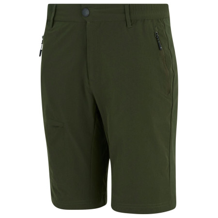 Чоловічі шорти Regatta Highton Shorts Long II