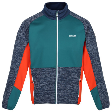 Чоловіча толстовка Regatta Coladane IV