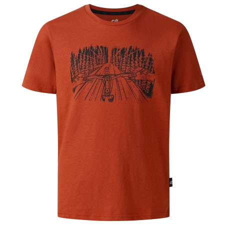 Дитяча футболка Dare 2b Trailbazer III Tee Arabian Spice коричневий ArabianSpice