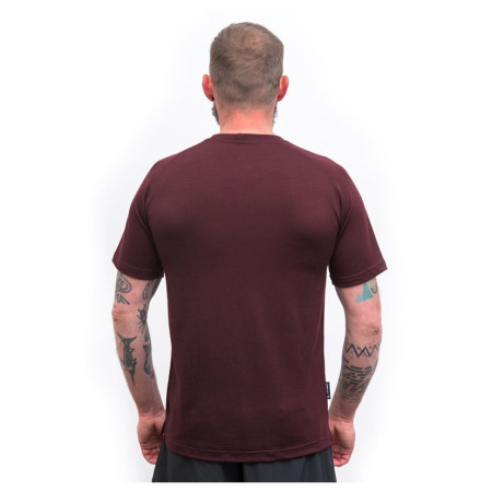 Чоловіча функціональна футболка Sensor Merino Blend Elements