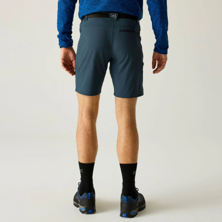 Чоловічі шорти Regatta Xert Stretch Shorts