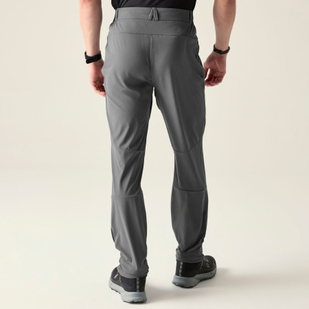 Чоловічі штани Dare 2b Torrek Lite Trouser