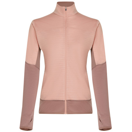 Жіноча функціональна толстовка Icebreaker Women Merino Blend 300 RealFleece™ Descender LS Zip рожевий Summit/Blush/Cb