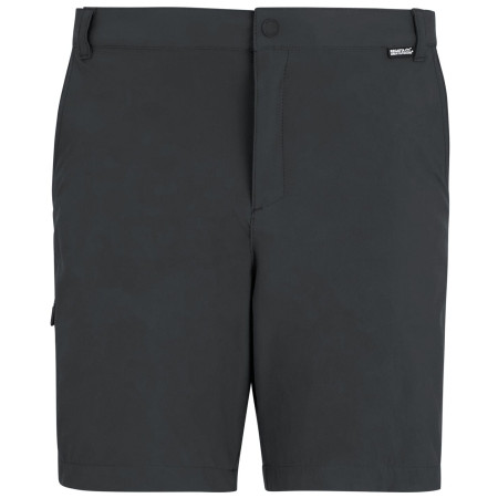 Чоловічі шорти Regatta Anti-Insect Travel Light Shorts сірий Ash