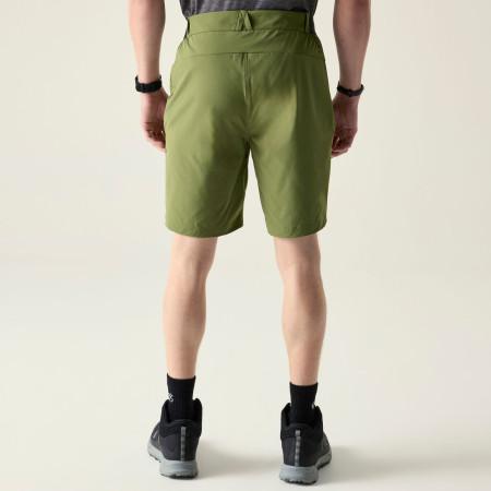 Чоловічі шорти Dare 2b Torrek Lite Short
