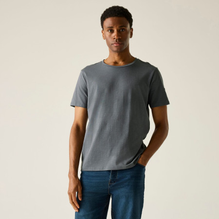 Чоловіча футболка Regatta Finlo