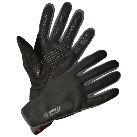 Рукавиці Direct Alpine Skisport 1.0