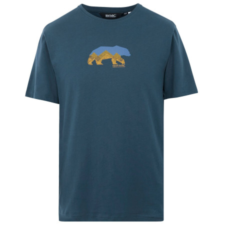 Чоловіча футболка Regatta Cline IX