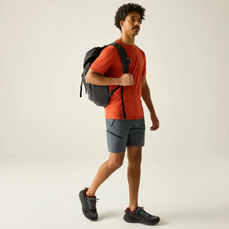 Чоловічі шорти Regatta Xert Stretch Shorts