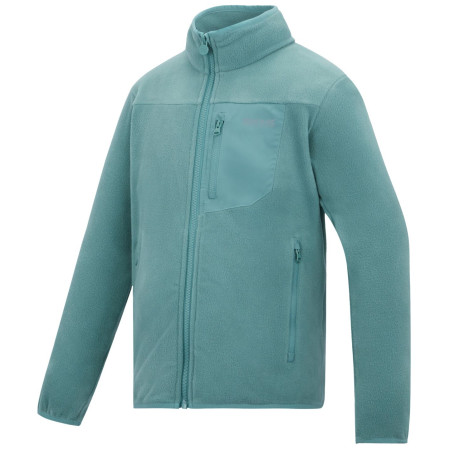 Дитяча толстовка Regatta Junior Frankie F/Z Ivy Moss
