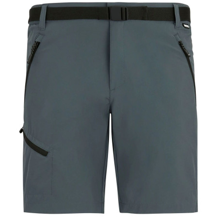 Чоловічі шорти Regatta Xert Stretch Shorts сірий Dark Storm