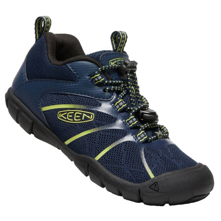 Дитячі черевики Keen Chandler 2 Cnx Children