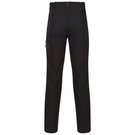 Чоловічі штани Regatta Questra V