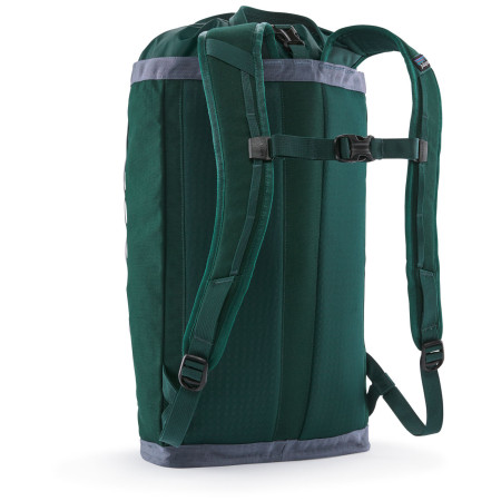 Рюкзак Patagonia Fieldsmith Linked Pack 24L