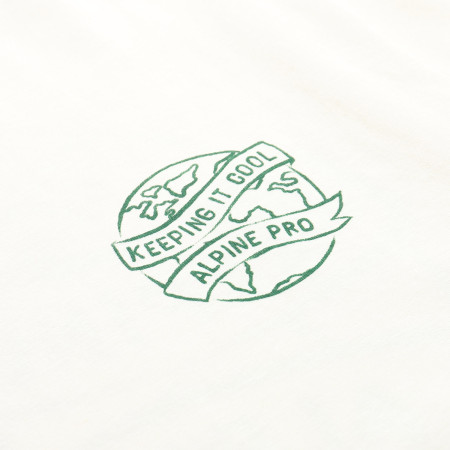 Чоловіча футболка Alpine Pro Termes 2