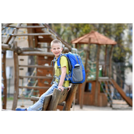 Шкільний рюкзак для 1-го ступеня Boll School Mate 20 Crabs