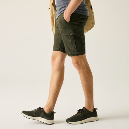Чоловічі шорти Regatta Bendrick Shorts