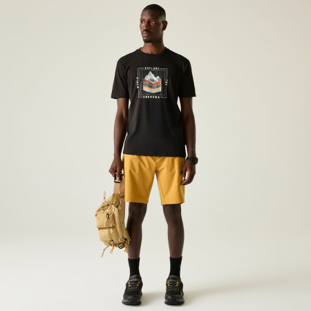 Чоловіча футболка Dare 2b Movement III Tee