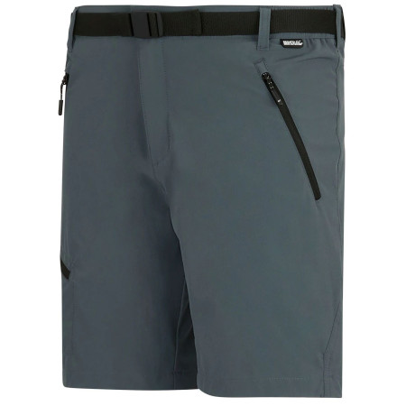 Чоловічі шорти Regatta Xert Stretch Shorts