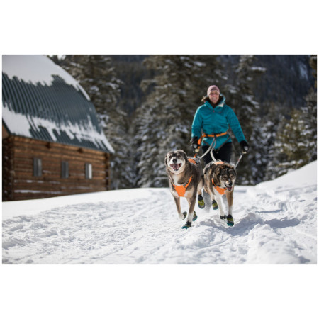 Шлея для собаки Ruffwear Omnijore Joring System