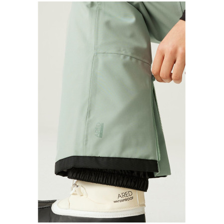 Жіночі штани Dare 2b Ice Pant