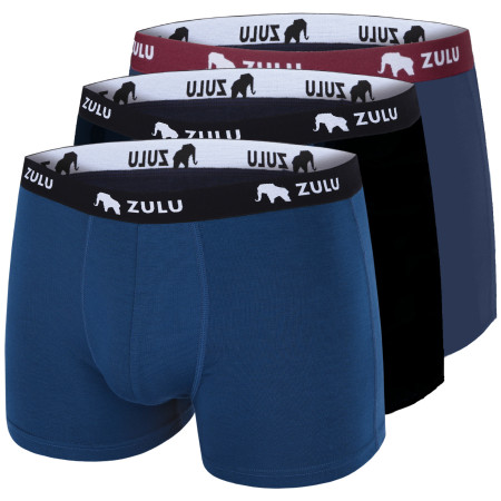 Чоловічі боксери Zulu Bambus 210 4in 3-pack