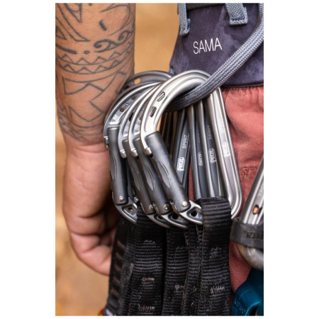 Система Petzl Sama