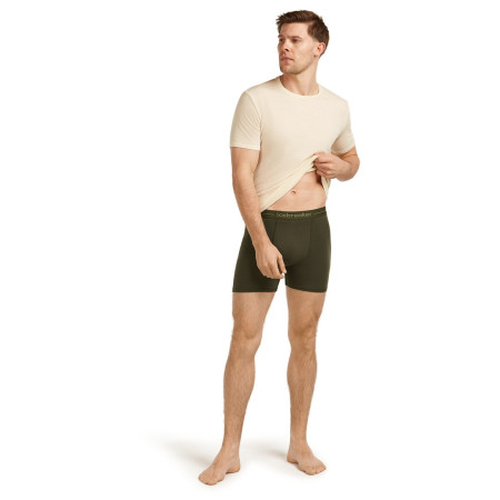 Чоловічі боксери Icebreaker Mens Anatomica Boxers