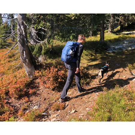 Рюкзак Pinguin Vector 35 (2021)