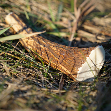 Іграшка для собак Explorer Dog Antler Chew easy