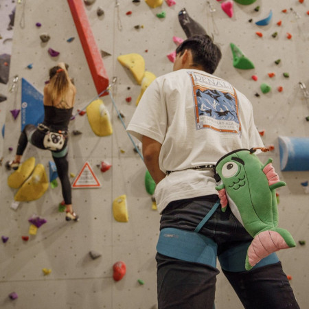 Мішечок для магнезії YY VERTICAL Chalk Bag Animal