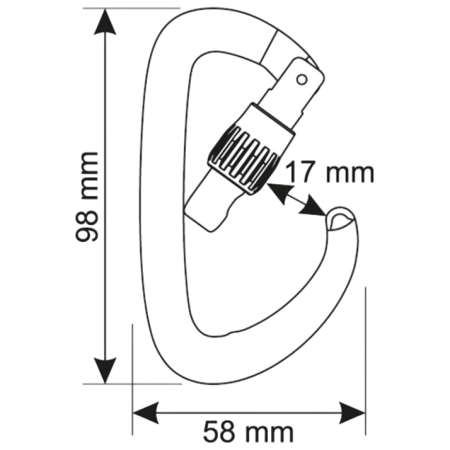 Карабін Camp Orbit Lock