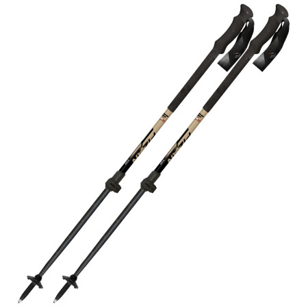 Скітурові палиці Fizan Aria