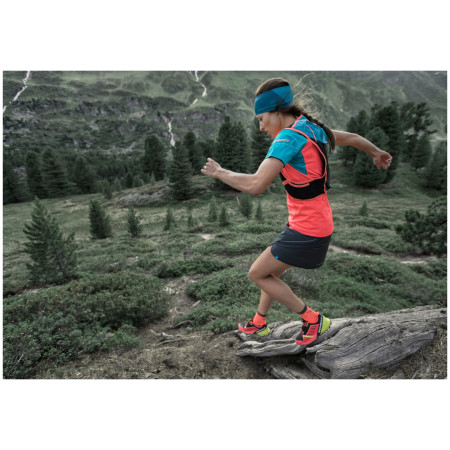 Шкарпетки Dynafit Alpine Short Sk